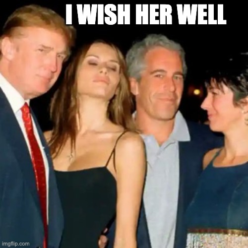 I wish her well | I WISH HER WELL | image tagged in trump epstein | made w/ Imgflip meme maker
