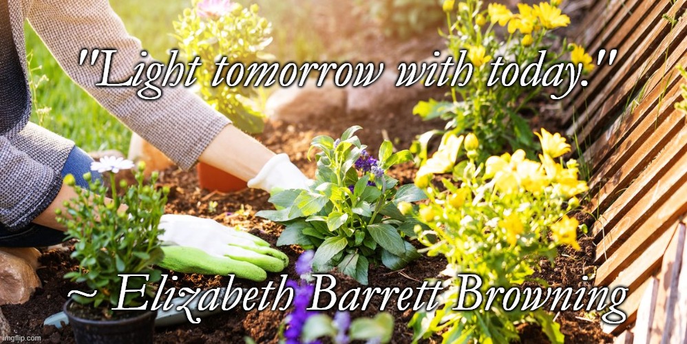 Garden | "Light tomorrow with today."; ~ Elizabeth Barrett Browning | image tagged in elizabeth barrett browning,hope,beauty,flowers,light | made w/ Imgflip meme maker