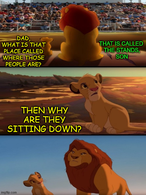 Mufasa and Simba | THAT IS CALLED 
THE STANDS,
SON; DAD,
WHAT IS THAT PLACE CALLED
WHERE THOSE PEOPLE ARE? THEN WHY ARE THEY SITTING DOWN? | image tagged in memes,lion king,change my mind,first world problems,bad pun,simba shadowy place | made w/ Imgflip meme maker