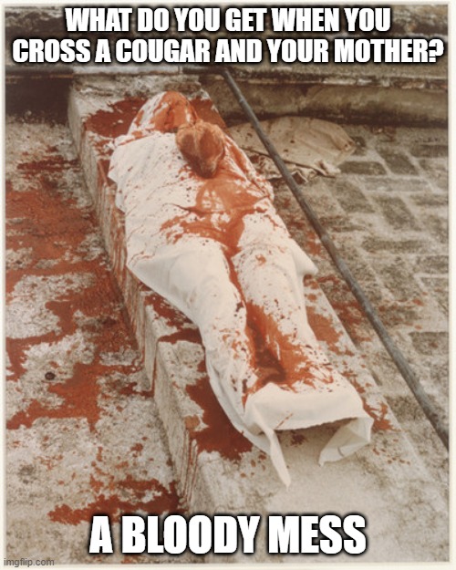 Mauled | WHAT DO YOU GET WHEN YOU CROSS A COUGAR AND YOUR MOTHER? A BLOODY MESS | image tagged in dark humor | made w/ Imgflip meme maker