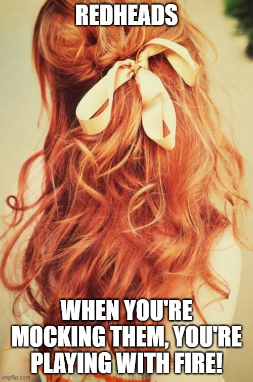 Are you stupid? | REDHEADS; WHEN YOU'RE MOCKING THEM, YOU'RE PLAYING WITH FIRE! | image tagged in redhead | made w/ Imgflip meme maker