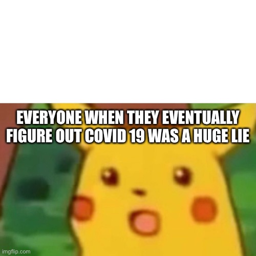 Surprised Pikachu | EVERYONE WHEN THEY EVENTUALLY FIGURE OUT COVID 19 WAS A HUGE LIE | image tagged in memes,surprised pikachu | made w/ Imgflip meme maker