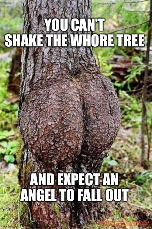 Sexy Tree | YOU CAN’T SHAKE THE WHORE TREE AND EXPECT AN ANGEL TO FALL OUT | image tagged in sexy tree | made w/ Imgflip meme maker