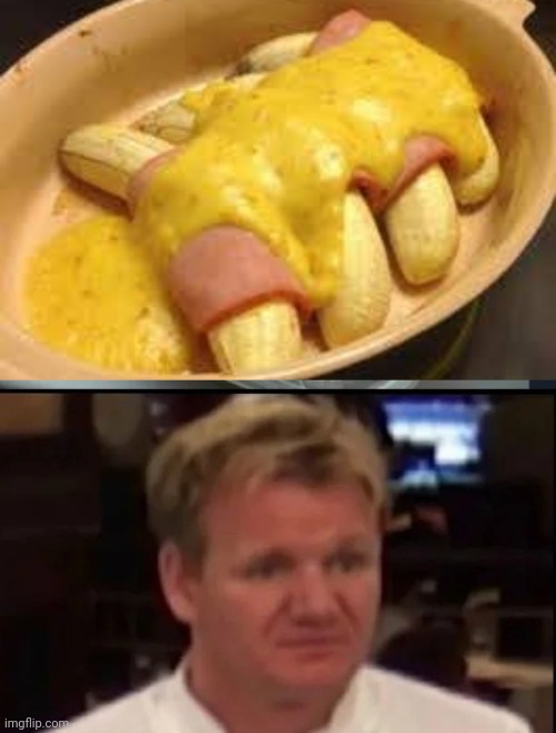 Image Tagged In Wtf Gordon Ramsey Imgflip