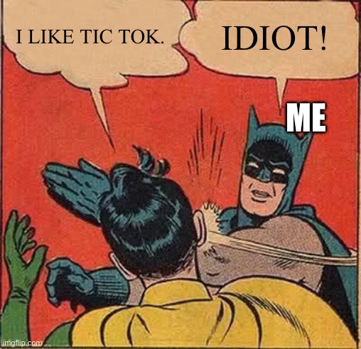 Batman Slapping Robin | I LIKE TIC TOK. IDIOT! ME | image tagged in memes,batman slapping robin | made w/ Imgflip meme maker