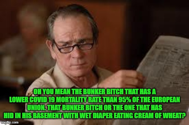 no country for old men tommy lee jones | OH YOU MEAN THE BUNKER BITCH THAT HAS A LOWER COVID 19 MORTALITY RATE THAN 95% OF THE EUROPEAN UNION. THAT BUNKER BITCH OR THE ONE THAT HAS  | image tagged in no country for old men tommy lee jones | made w/ Imgflip meme maker