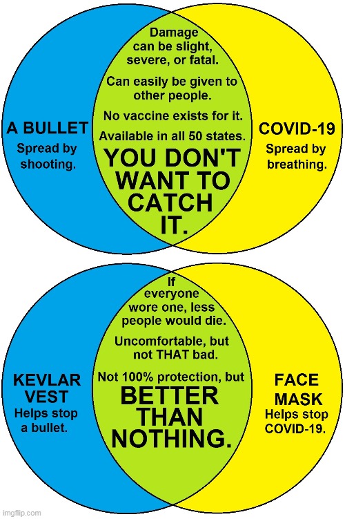 Please share, and WEAR A MASK.  Stopping this is really that simple. | image tagged in covid-19,face mask | made w/ Imgflip meme maker