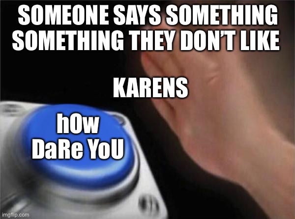 Blank Nut Button Meme | SOMEONE SAYS SOMETHING SOMETHING THEY DON’T LIKE; KARENS; hOw DaRe YoU | image tagged in memes,blank nut button | made w/ Imgflip meme maker