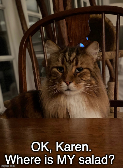 Henri Cat | OK, Karen. Where is MY salad? | image tagged in henri cat | made w/ Imgflip meme maker