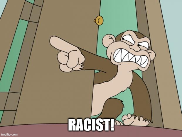 evil monkey | RACIST! | image tagged in evil monkey | made w/ Imgflip meme maker