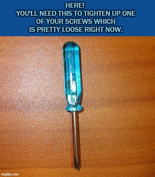 Screw loose | HERE! 
YOU'LL NEED THIS TO TIGHTEN UP ONE OF YOUR SCREWS WHICH IS PRETTY LOOSE RIGHT NOW. | image tagged in screw,nuts | made w/ Imgflip meme maker