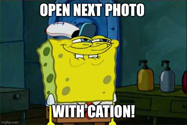 Cation to the wind | OPEN NEXT PHOTO; WITH CATION! | image tagged in memes,don't you squidward | made w/ Imgflip meme maker