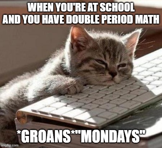 tired cat | WHEN YOU'RE AT SCHOOL AND YOU HAVE DOUBLE PERIOD MATH; *GROANS*"MONDAYS" | image tagged in tired cat | made w/ Imgflip meme maker