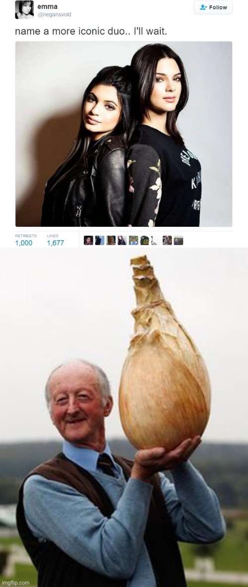 Happy onion man | image tagged in name a more iconic duo | made w/ Imgflip meme maker