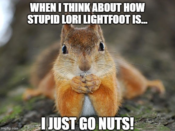 Smart Chipmunk | WHEN I THINK ABOUT HOW STUPID LORI LIGHTFOOT IS... I JUST GO NUTS! | image tagged in smart chipmunk,lori lightfoot,chicago | made w/ Imgflip meme maker