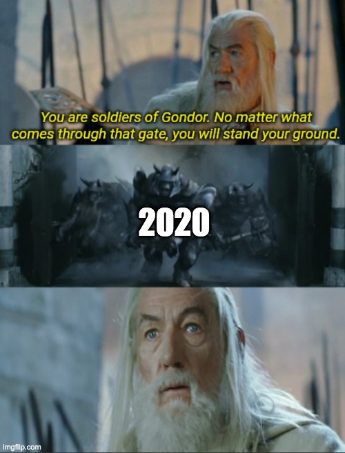 This. Is.  A.  Crazy.  Year. | 2020 | image tagged in you are soldiers of gondor | made w/ Imgflip meme maker
