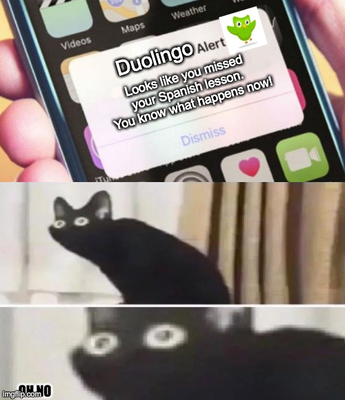 Code red.  I repeat, CODE RED! | Duolingo; Looks like you missed your Spanish lesson.  You know what happens now! OH NO | image tagged in memes,presidential alert,duolingo | made w/ Imgflip meme maker
