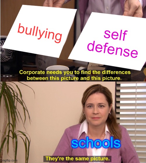 They're The Same Picture Meme | bullying; self defense; schools | image tagged in memes,they're the same picture | made w/ Imgflip meme maker