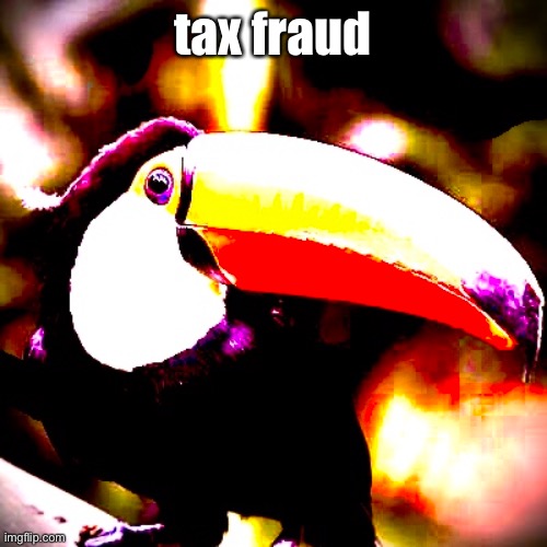 tax fraud toucan | tax fraud | image tagged in toucan | made w/ Imgflip meme maker