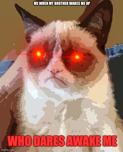 Grumpy Cat | ME WHEN MY BROTHER WAKES ME UP; WHO DARES AWAKE ME | image tagged in memes,grumpy cat | made w/ Imgflip meme maker