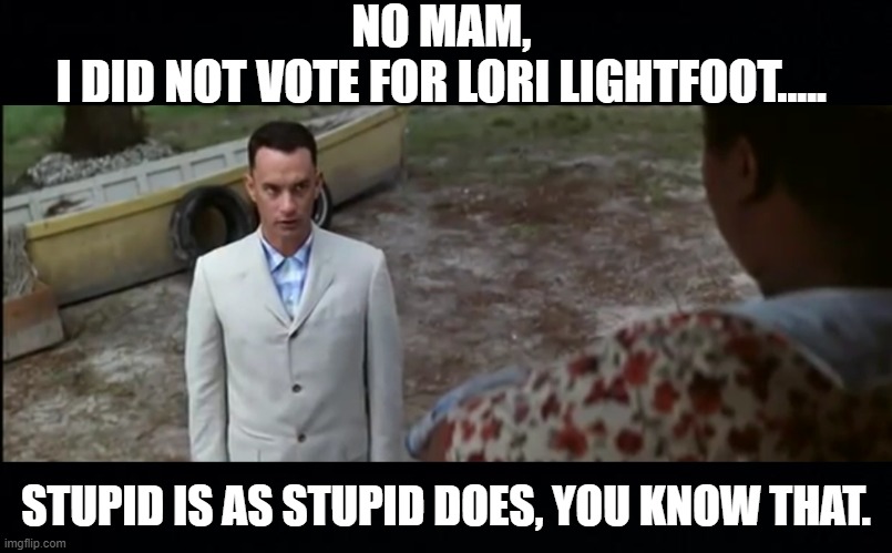 I WONDER HOW STUPID DO YOU HAVE TO BE TO HAVE VOTED FOR THIS MUPPET. | NO MAM, 
I DID NOT VOTE FOR LORI LIGHTFOOT..... STUPID IS AS STUPID DOES, YOU KNOW THAT. | image tagged in stupid is as stupid does,lori lightfoot,chicago | made w/ Imgflip meme maker