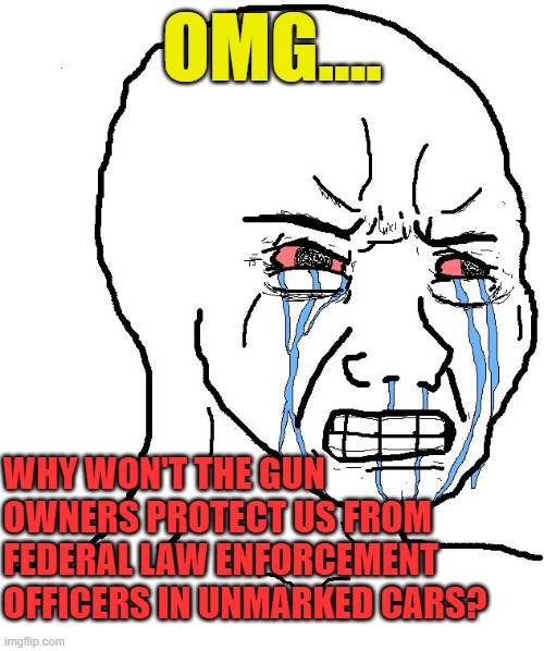 ANTIFA-- YOU are the FASCISTS | OMG.... WHY WON'T THE GUN OWNERS PROTECT US FROM FEDERAL LAW ENFORCEMENT OFFICERS IN UNMARKED CARS? | image tagged in crying npc | made w/ Imgflip meme maker