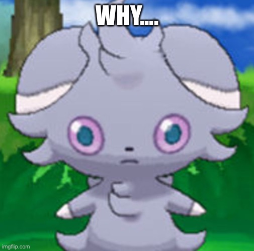 Espurr has seen some crap | WHY.... | image tagged in espurr has seen some crap | made w/ Imgflip meme maker