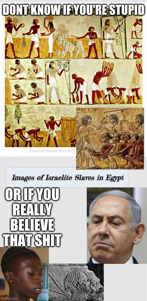 Jisraelites | DONT KNOW IF YOU'RE STUPID; OR IF YOU
REALLY
BELIEVE
THAT SHIT | image tagged in israel jews,jews,jewish,jew | made w/ Imgflip meme maker