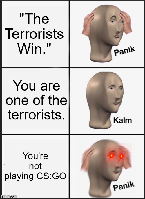 You Never Even Knew It | "The Terrorists Win."; You are one of the terrorists. You're not playing CS:GO | image tagged in memes,panik kalm panik | made w/ Imgflip meme maker