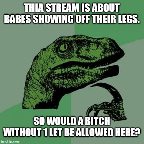 This is a weird question. Plus, what's the point of this stream? | THIA STREAM IS ABOUT BABES SHOWING OFF THEIR LEGS. SO WOULD A BITCH WITHOUT 1 LET BE ALLOWED HERE? | image tagged in memes,philosoraptor | made w/ Imgflip meme maker