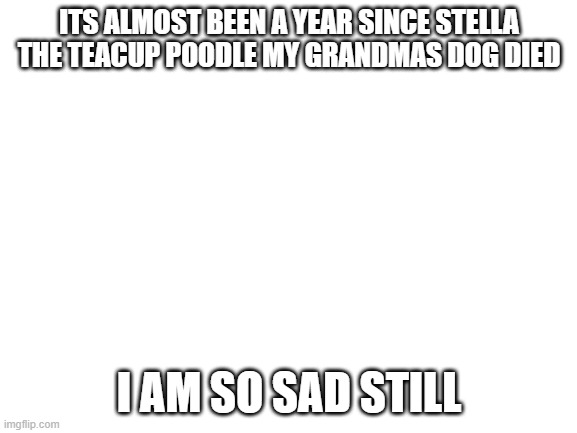 Blank White Template | ITS ALMOST BEEN A YEAR SINCE STELLA THE TEACUP POODLE MY GRANDMAS DOG DIED; I AM SO SAD STILL | image tagged in blank white template,no other tag for stella dieing,thats sad | made w/ Imgflip meme maker