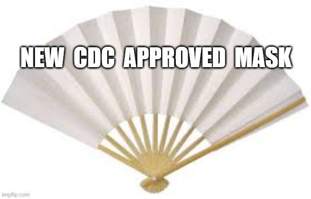 NEW  CDC  APPROVED  MASK | image tagged in covid19,coronavirus,face mask,masks,hoax | made w/ Imgflip meme maker