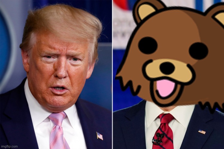 These are your choices in 2020 | image tagged in memes,creepy joe biden,pervert,pedobear,donald trump,2020 | made w/ Imgflip meme maker
