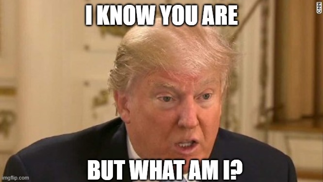 Trump Stupid Face | I KNOW YOU ARE BUT WHAT AM I? | image tagged in trump stupid face | made w/ Imgflip meme maker