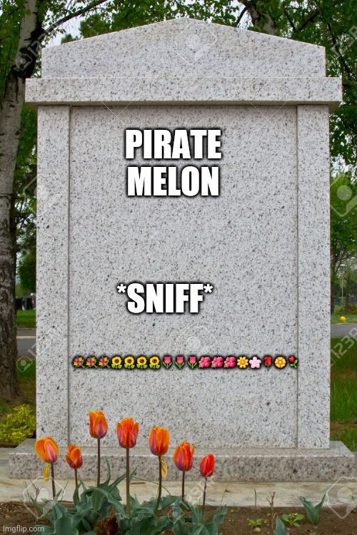 blank gravestone | PIRATE MELON; *SNIFF*; 💐💐💐🌻🌻🌻🌻🌷🌷🌷🌺🌺🌺🌼🌸🌹🏵⚘ | image tagged in blank gravestone | made w/ Imgflip meme maker