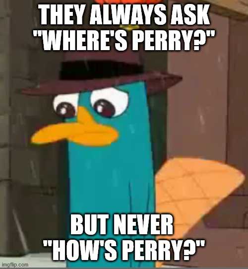 depressed perry | THEY ALWAYS ASK
"WHERE'S PERRY?"; BUT NEVER 
"HOW'S PERRY?" | image tagged in depressed perry | made w/ Imgflip meme maker