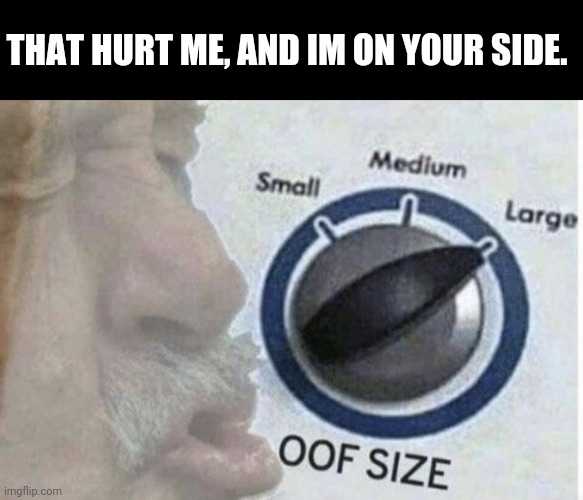 Oof size large | THAT HURT ME, AND IM ON YOUR SIDE. | image tagged in oof size large | made w/ Imgflip meme maker