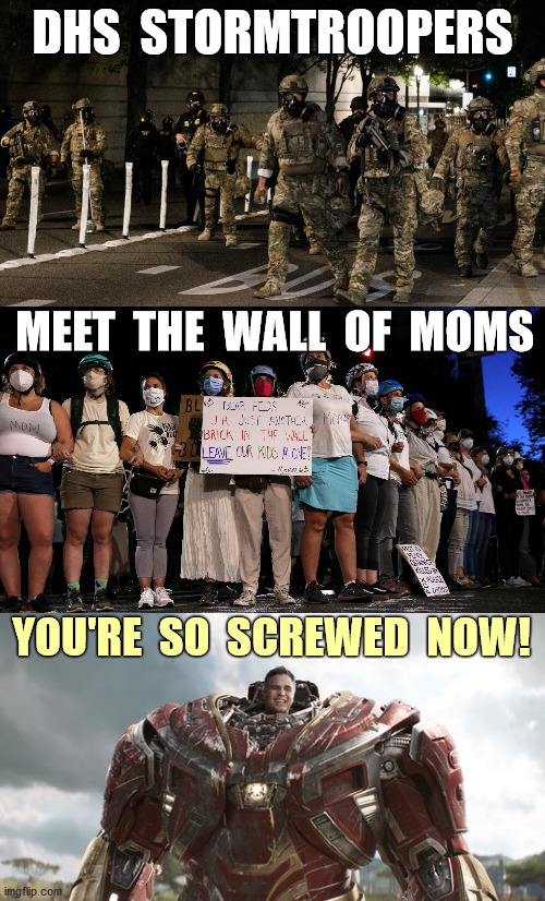 Wall of Moms | DHS  STORMTROOPERS; MEET  THE  WALL  OF  MOMS; YOU'RE  SO  SCREWED  NOW! | image tagged in portland,dhs,wall of moms,stormtroopers,funny,memes | made w/ Imgflip meme maker