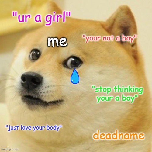 Doge | "ur a girl"; me; "your not a boy"; "stop thinking your a boy"; "just love your body"; deadname | image tagged in memes,doge | made w/ Imgflip meme maker