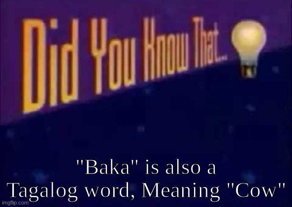 It's true, look it up | "Baka" is also a Tagalog word, Meaning "Cow" | image tagged in did you know that,philippines | made w/ Imgflip meme maker