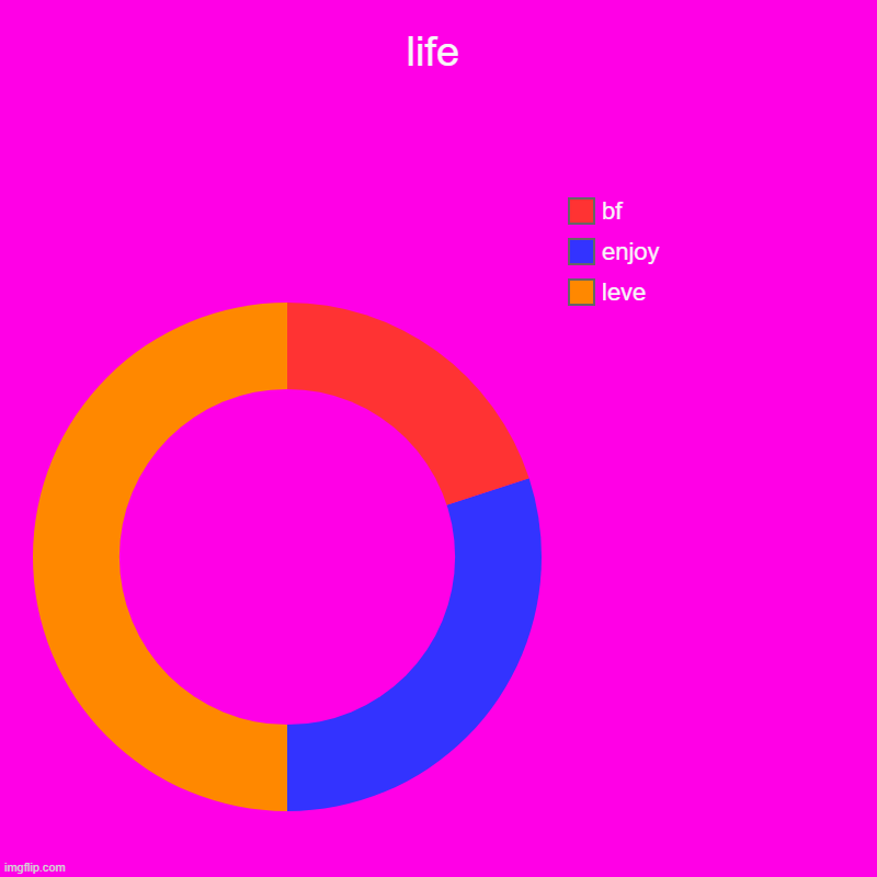 life | leve, enjoy, bf | image tagged in charts,donut charts | made w/ Imgflip chart maker