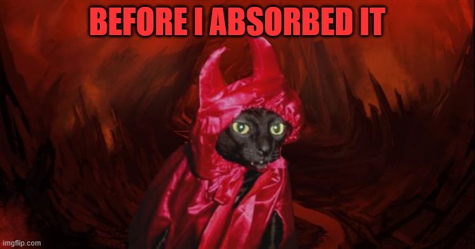 Demon Cat | BEFORE I ABSORBED IT | image tagged in demon cat | made w/ Imgflip meme maker