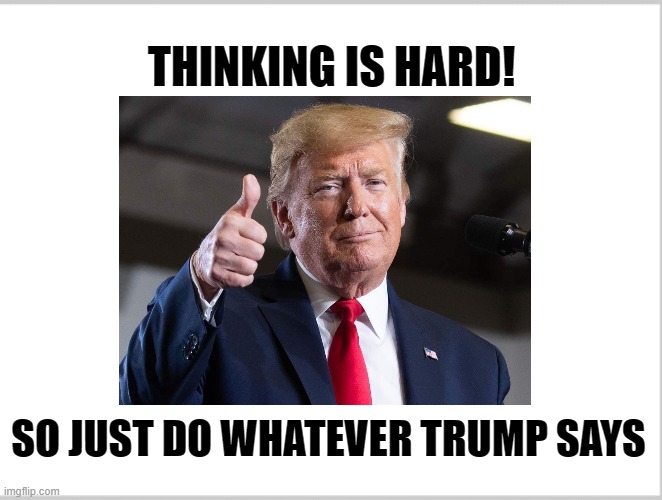 Thinking is hard | THINKING IS HARD! SO JUST DO WHATEVER TRUMP SAYS | image tagged in donald trump | made w/ Imgflip meme maker