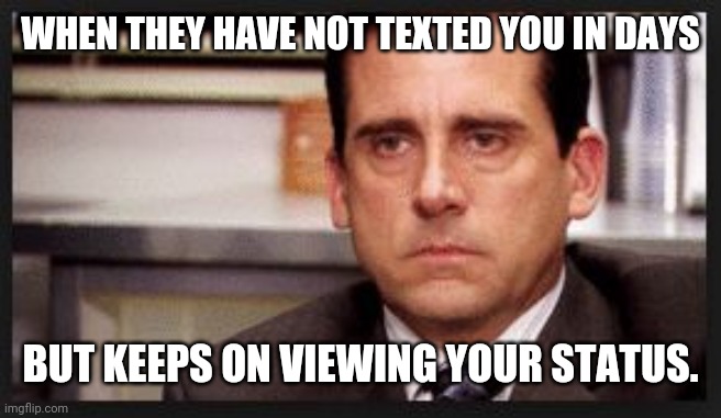irritated | WHEN THEY HAVE NOT TEXTED YOU IN DAYS; BUT KEEPS ON VIEWING YOUR STATUS. | image tagged in irritated | made w/ Imgflip meme maker