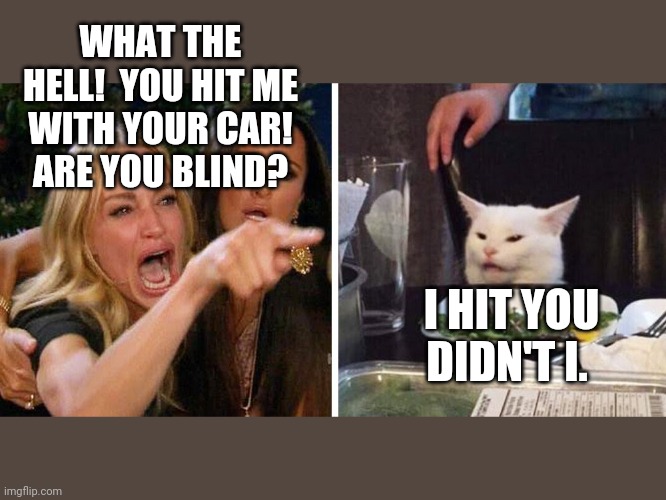 Smudge the cat | WHAT THE HELL!  YOU HIT ME WITH YOUR CAR! ARE YOU BLIND? I HIT YOU DIDN'T I. | image tagged in smudge the cat | made w/ Imgflip meme maker