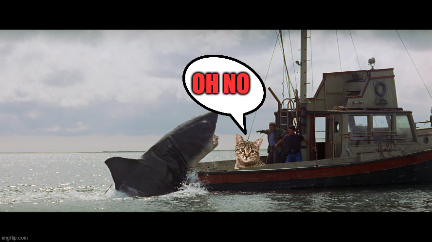 Jaws Boat | OH NO | image tagged in jaws boat | made w/ Imgflip meme maker