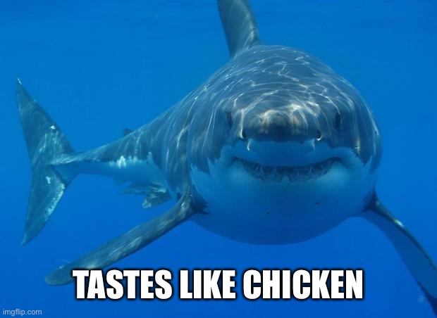 Straight White Shark | TASTES LIKE CHICKEN | image tagged in straight white shark | made w/ Imgflip meme maker
