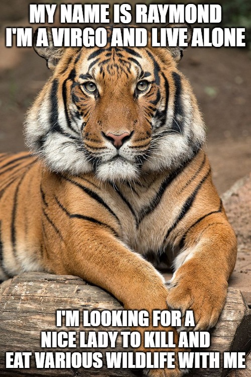 Tiger dating has got more difficult with social distancing - Imgflip