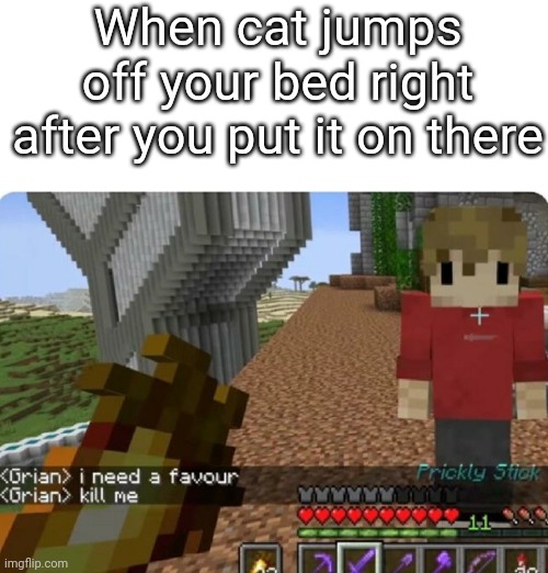 The pain. It hurts. | When cat jumps off your bed right after you put it on there | image tagged in grian kill me,relatable,memes,cats | made w/ Imgflip meme maker