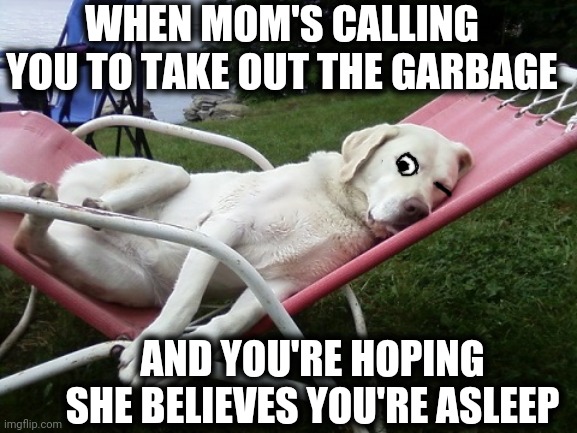 Who the heck invented chores anyway? | WHEN MOM'S CALLING YOU TO TAKE OUT THE GARBAGE; AND YOU'RE HOPING SHE BELIEVES YOU'RE ASLEEP | image tagged in dog days of summer | made w/ Imgflip meme maker